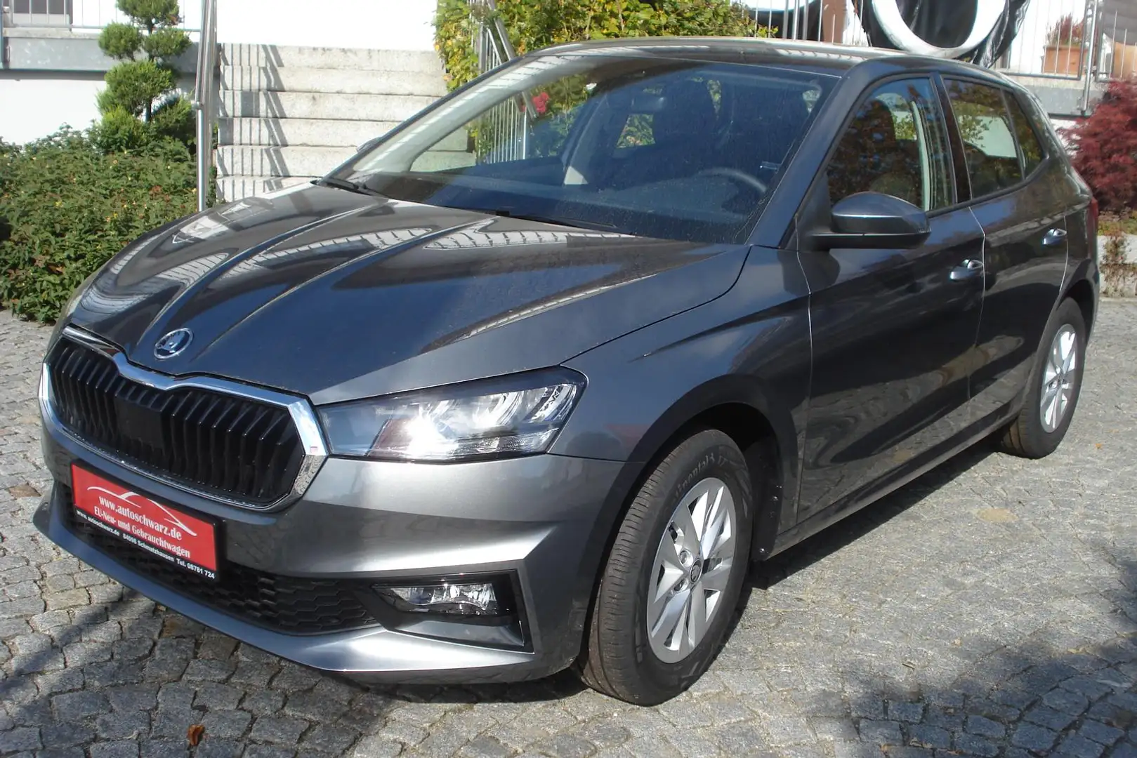 Skoda Fabia Select.Plus-Sitzh. SmartLink-Kamera Grau - 2