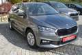 Skoda Fabia Select.Plus-Sitzh. SmartLink-Kamera Grau - thumbnail 1