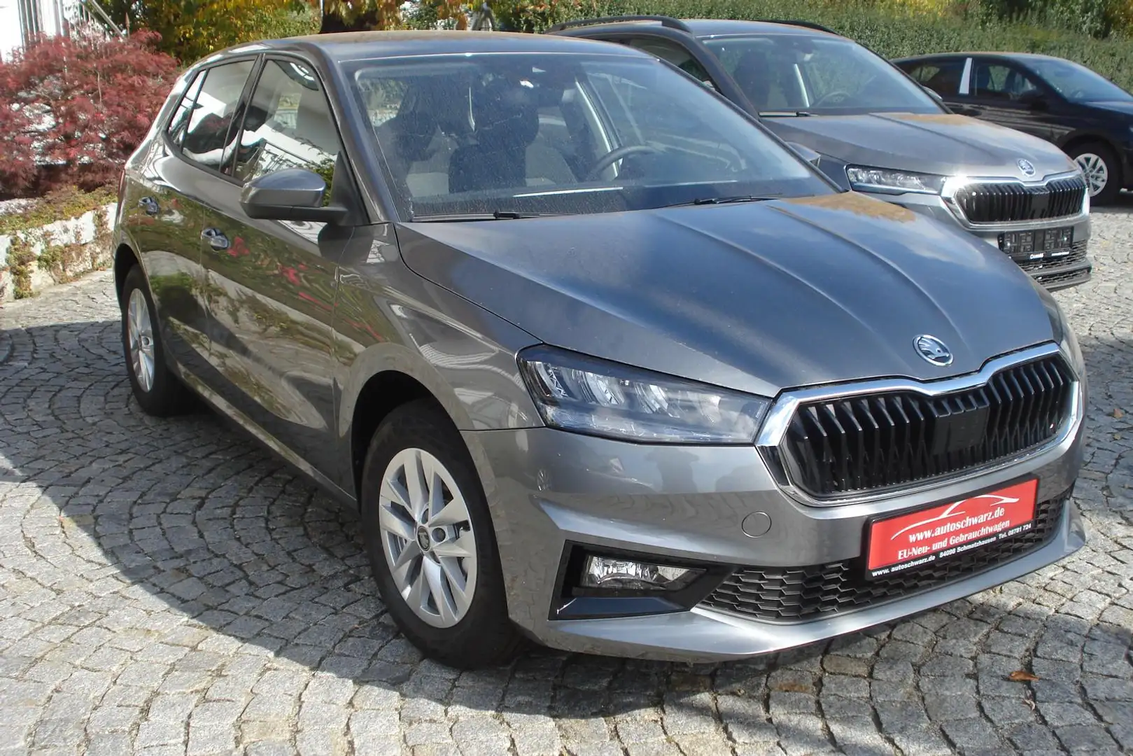 Skoda Fabia Select.Plus-Sitzh. SmartLink-Kamera Grau - 1