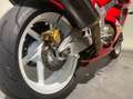 Honda VTR 1000 SP1 | Origineel NL | Verzamelaarsconditie Rot - thumbnail 17