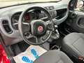 Fiat Panda Base**5.000KM** Rot - thumbnail 18