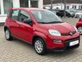 Fiat Panda Base**5.000KM** Rot - thumbnail 6