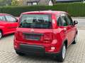 Fiat Panda Base**5.000KM** Rot - thumbnail 26