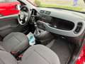 Fiat Panda Base**5.000KM** Rot - thumbnail 22