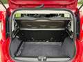 Fiat Panda Base**5.000KM** Rot - thumbnail 20