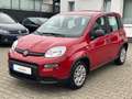 Fiat Panda Base**5.000KM** Rot - thumbnail 11