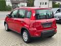 Fiat Panda Base**5.000KM** Rot - thumbnail 14