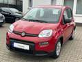 Fiat Panda Base**5.000KM** Rot - thumbnail 9