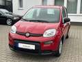 Fiat Panda Base**5.000KM** Rot - thumbnail 8