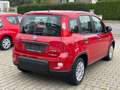 Fiat Panda Base**5.000KM** Rot - thumbnail 24