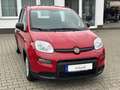 Fiat Panda Base**5.000KM** Rot - thumbnail 3