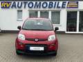 Fiat Panda Base**5.000KM** Rot - thumbnail 1