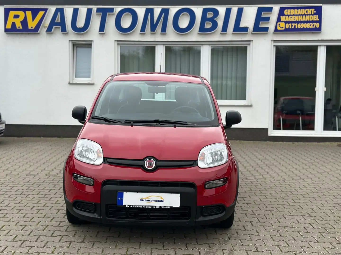 Fiat Panda Base**5.000KM** Rot - 1