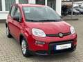 Fiat Panda Base**5.000KM** Rot - thumbnail 4