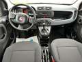 Fiat Panda Base**5.000KM** Rot - thumbnail 16