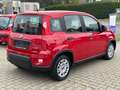Fiat Panda Base**5.000KM** Rot - thumbnail 23