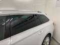 Skoda Superb Kombi 2,0 TDI Style DSG*SHZ* Blanc - thumbnail 6