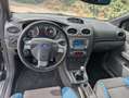Ford Focus Focus 2.5-20V ST Zwart - thumbnail 11