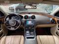 Jaguar XJ 3.0 V6D Portfolio LWB Rosso - thumbnail 9
