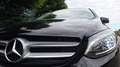 Mercedes-Benz B 180 Classe B 180 d (cdi)  Sport Schwarz - thumbnail 6