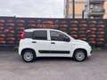 Fiat Panda 1.2 Easy CITY PRIVACY CLIMA Bianco - thumbnail 4