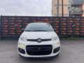 Fiat Panda 1.2 Easy CITY PRIVACY CLIMA Weiß - thumbnail 5
