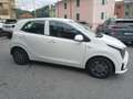 Kia Picanto 1.0 12V Urban KM.ZERO - PRONTA CONSEGNA Bianco - thumbnail 3