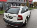 Skoda Octavia COMBI SCOOT PLUS 4X4 2.0 TDI 140CH Blanc - thumbnail 5