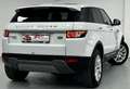 Land Rover Range Rover Evoque GARANTIE 12MOIS-PANORAMIQUE-XENON-GPS-CUIR CHAUFF- White - thumbnail 4