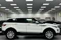 Land Rover Range Rover Evoque GARANTIE 12MOIS-PANORAMIQUE-XENON-GPS-CUIR CHAUFF- White - thumbnail 5