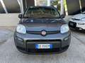 Fiat Panda Panda 1.0 firefly hybrid City Cross s Gris - thumbnail 2