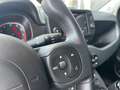 Fiat Panda Panda 1.0 firefly hybrid City Cross s Gris - thumbnail 11