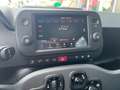 Fiat Panda Panda 1.0 firefly hybrid City Cross s Gris - thumbnail 10