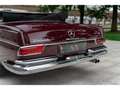 Mercedes-Benz 300 SE CABRIOLET W112 - FRANCAISE - 2EME MAIN Rood - thumbnail 5