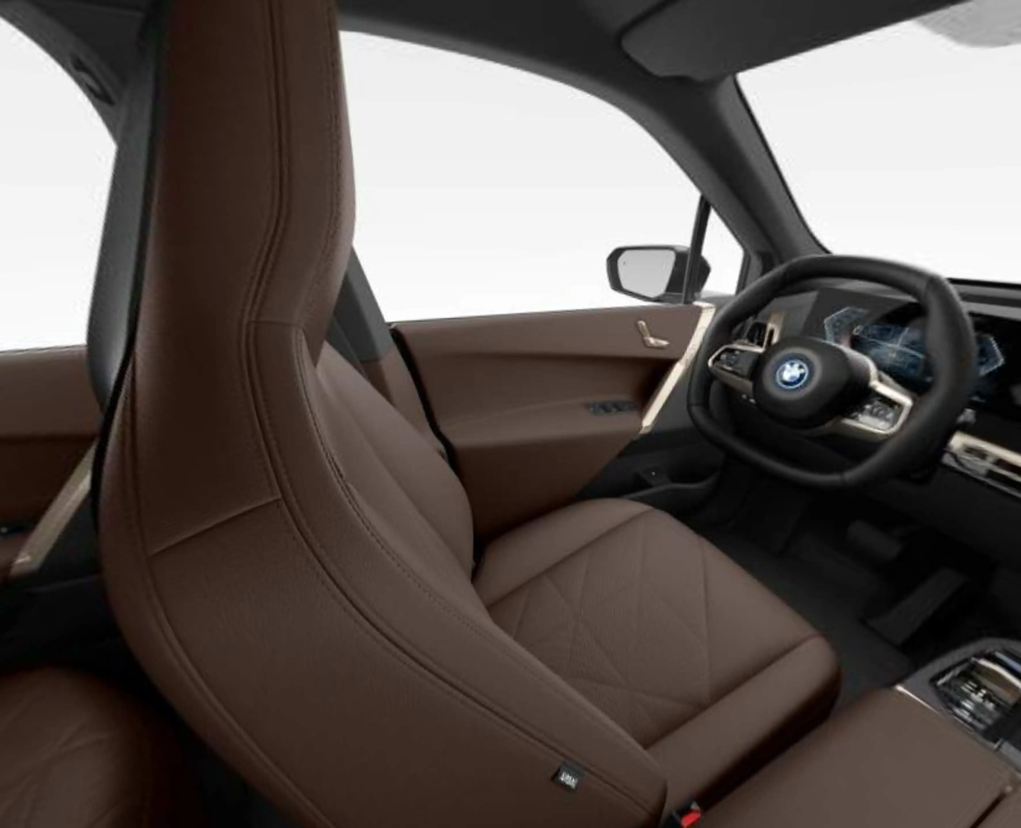 BMW iX xDrive40 Executive 77 kWh Trekhaak - Panoramadak - — photo 11