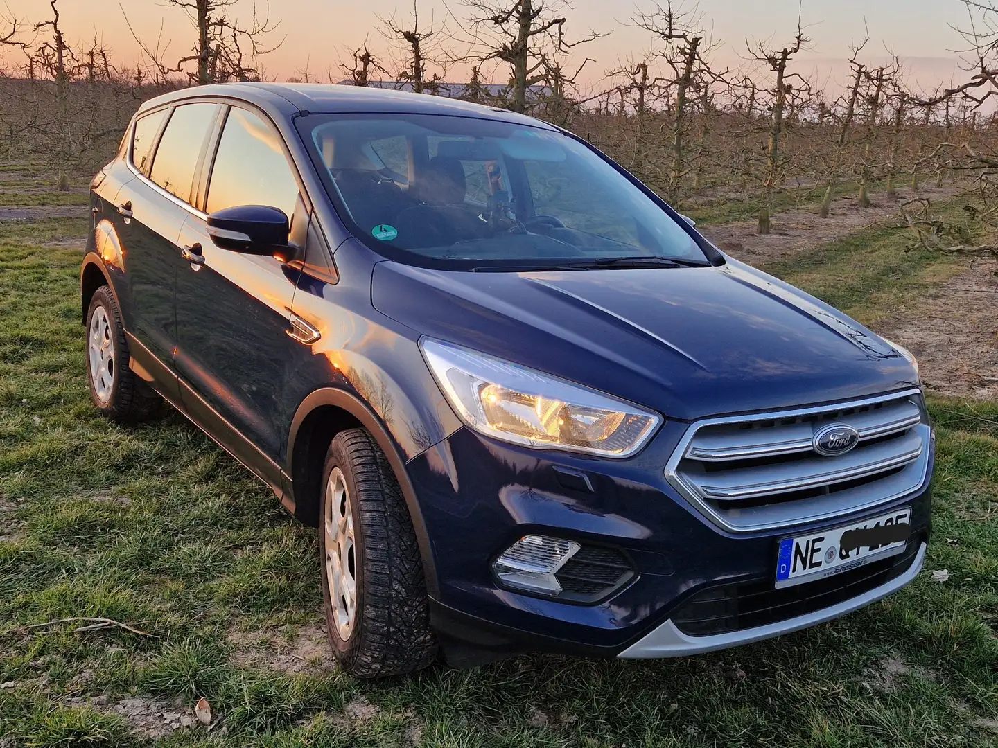 Ford Kuga Kuga 1.5 EcoBoost 2x4 Cool Blau - 2