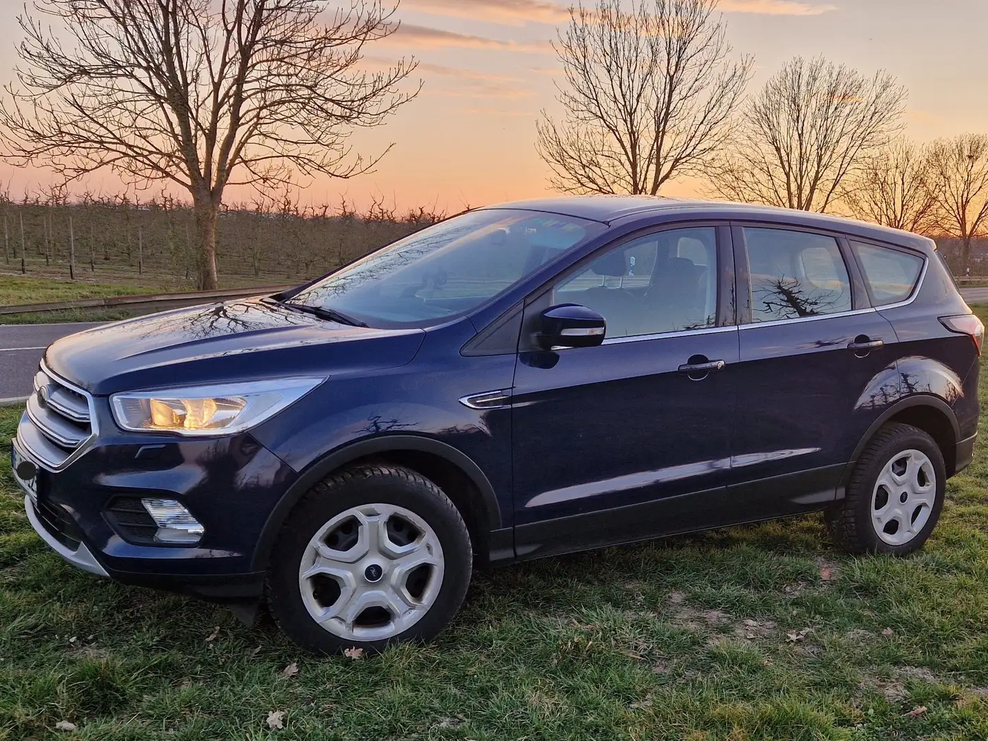 Ford Kuga Kuga 1.5 EcoBoost 2x4 Cool Blau - 1