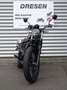 Honda CL 500 ABS * Neu 2025 * 1. Hand* Braun - thumbnail 2