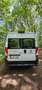 Caravans-Wohnm Fiat Ducato Wit - thumbnail 4