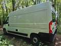 Caravans-Wohnm Fiat Ducato Wit - thumbnail 3