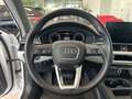 Audi A4 Avant 35 TDI/163 CV S tronic Business Advanced Bianco - thumbnail 9