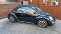 Volkswagen New Beetle Cabriolet 1.4, SHZ, PDC Schwarz - thumbnail 3