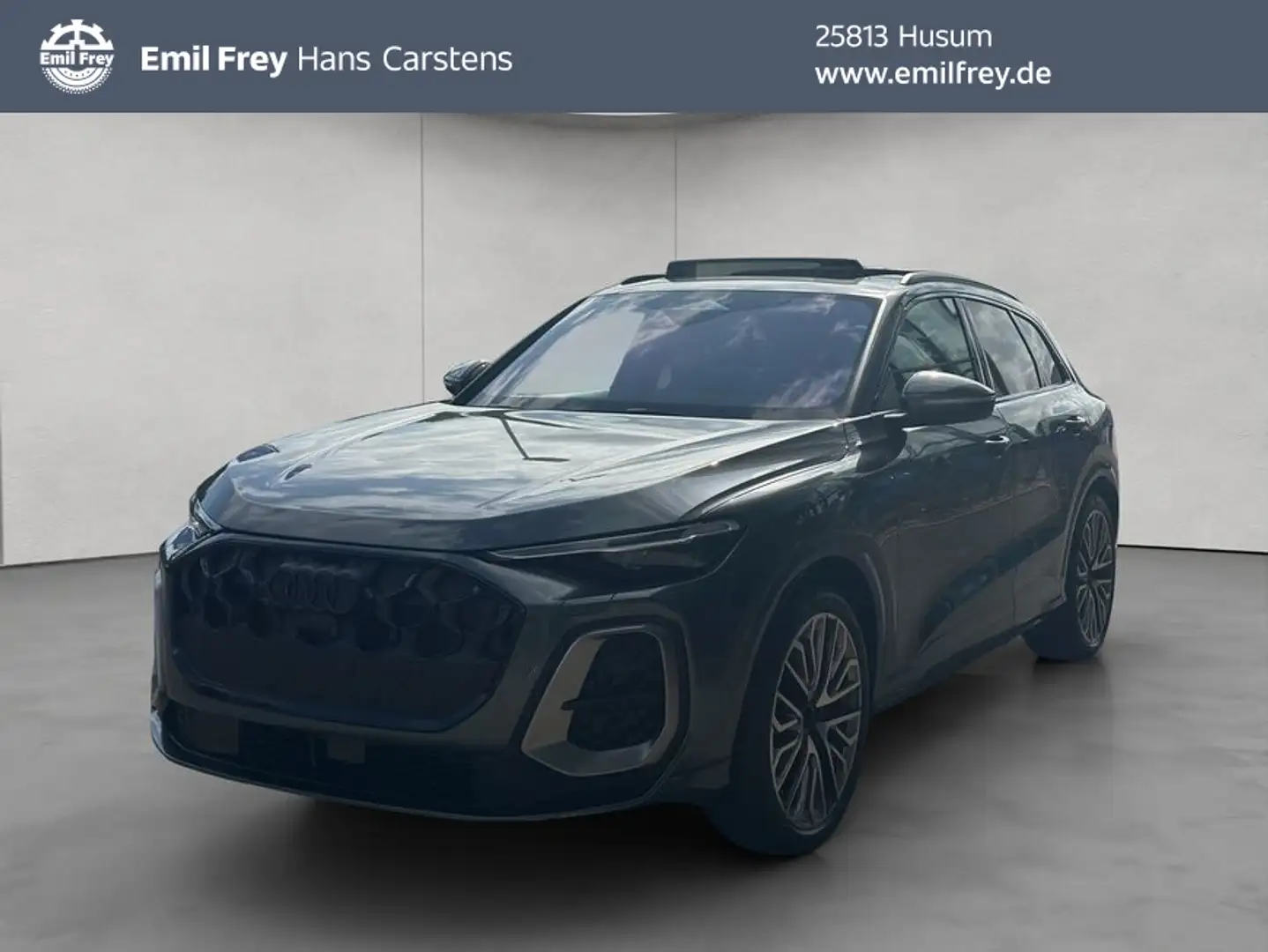 Audi SQ5 SUV 3,0 TFSI quattro V6 tronic S line AHK Grau - 1