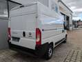 Fiat Ducato Fiat Ducato 3.3to 120PS Klima PDC L2H2 2,2ltr. Weiß - thumbnail 14