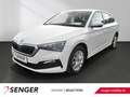 Skoda Scala 1.0 TSI DSG Smart Link Reise Paket Sitzh. Weiß - thumbnail 1