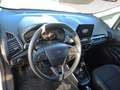 Ford EcoSport 1.0 EcoBoost Plus Argento - thumbnail 14