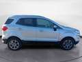 Ford EcoSport 1.0 EcoBoost Plus Argento - thumbnail 8