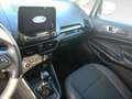 Ford EcoSport 1.0 EcoBoost Plus Argento - thumbnail 10