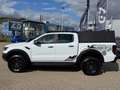Ford Ranger Raptor Doppelkabine 4x4 Blanc - thumbnail 6