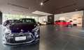 DS Automobiles DS 3 DS3 Crossback 1.5 bluehdi Business 130cv auto Grau - thumbnail 40